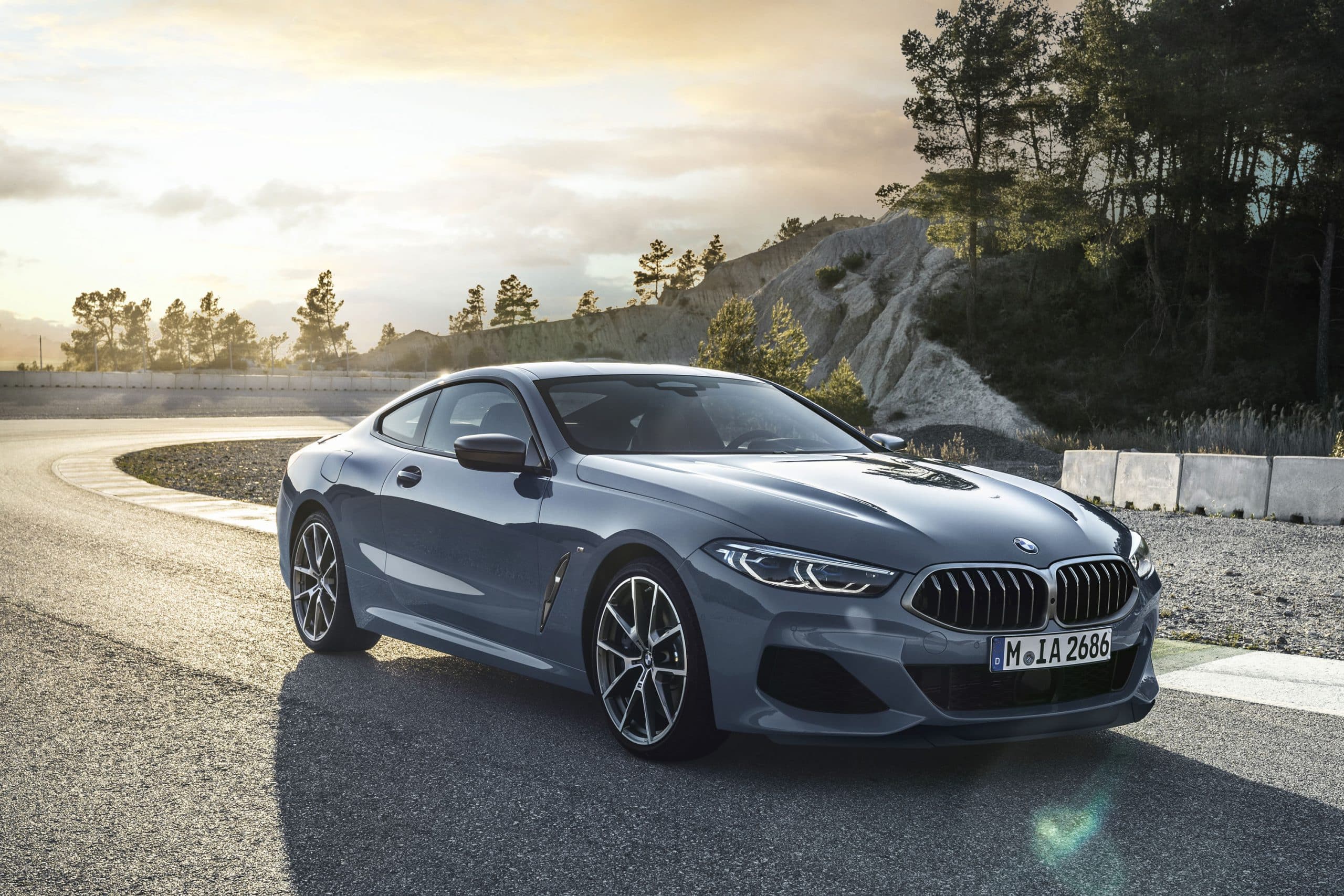Standard-2019-BMW-8-Series-scaled