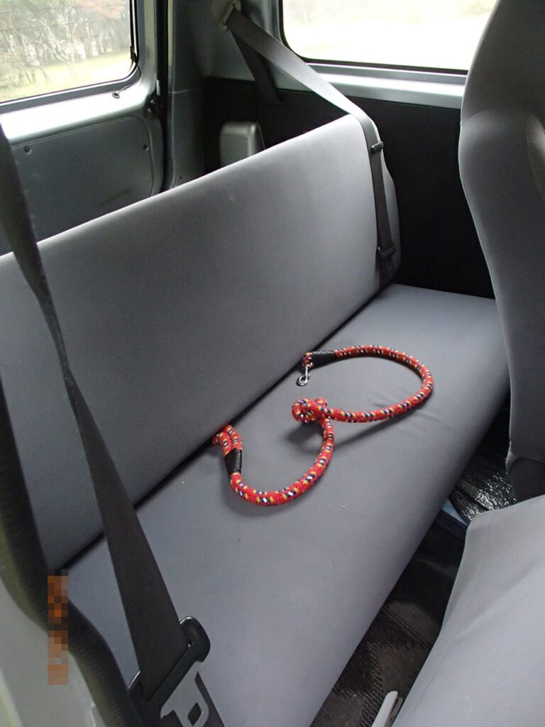 Daihatsu Mira Rear Seat view